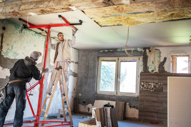 Best Types of Insulation in Lutz, FL