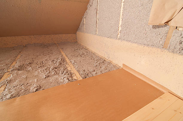 Best Specialty Insulation in Lutz, FL