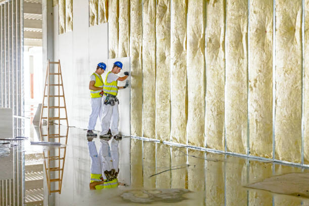 Best Commercial Insulation in Lutz, FL